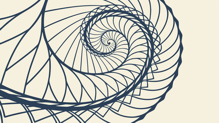 abstract spiral shell with swirling pattern vector image