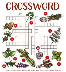 crossword find a word game with sketch herbs vector