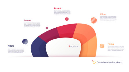 Abstract Pie Chart Template - Five Part Segmentati vector image