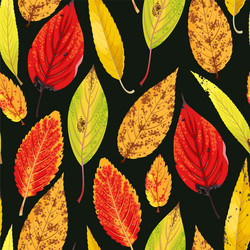 autumn pattern with leaves vector image