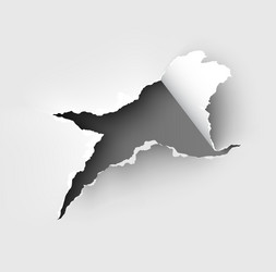 Ripped Paper Hole Vector Image