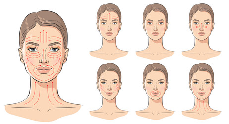 Face massage lines facial instructions Royalty Free Vector
