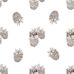Graphic seamless pattern with raspberry vector