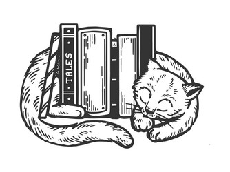 Scratchboard Sleeping Cat with Books vector image