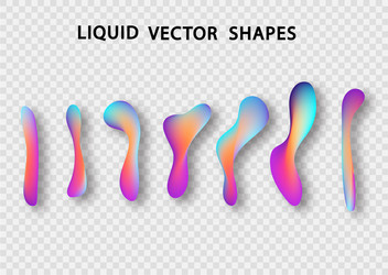 fluid shape layout isolated template set colorful vector image