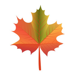 Red maple leaf Royalty Free Vector Image - VectorStock