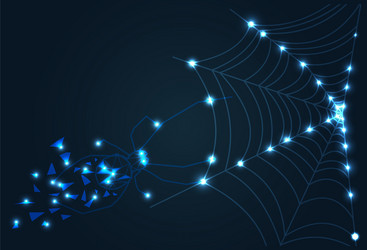 abstract image a spider and cobweb vector