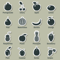 fruits and berries icons set vector