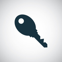 key icon for web and ui on white background vector image