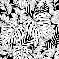monstera and palm leaves pattern black white Vector Image