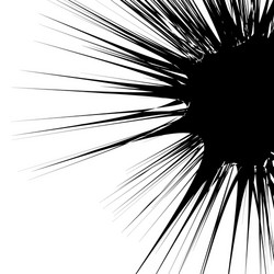concentric circular pattern random burst vector image