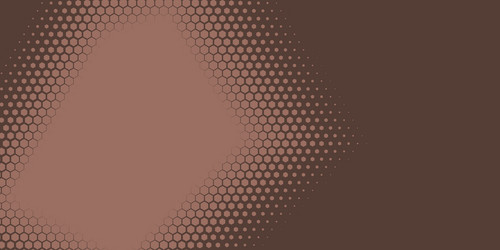 geometric abstract hexagon two color background vector image
