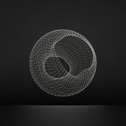 Wireframe Network Structure vector image