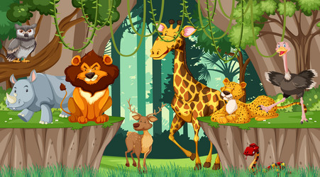 Wild animals in the jungle Royalty Free Vector Image