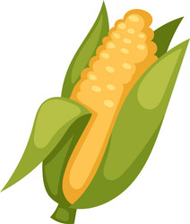 Sweet golden ripe corn Royalty Free Vector Image