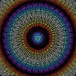 mosaic art pattern curved image vector image