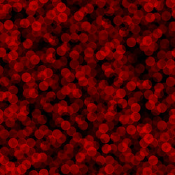 Seamless pattern with red halftone dots ordered vector