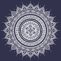 Beautiful indian floral mandala ornament vector