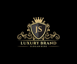 Elegant JS Initial Monogram vector image