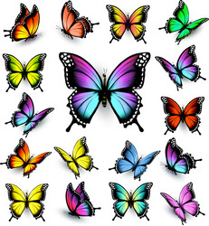 Vibrant Butterfly Collection Vector Image