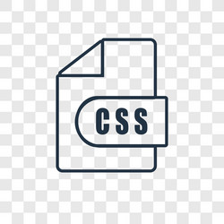 Css concept linear icon isolated on transparent vector