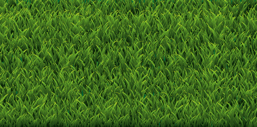 Green grass seamless pattern 1 Royalty Free Vector Image
