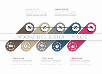 infographic template can be used for workflow vector