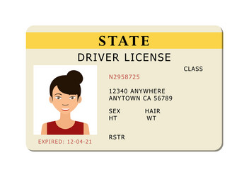 Car river licence vector