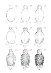 page shows how to learn draw from life sketch vector image