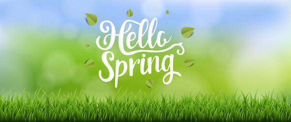 hello spring text banner with grass and bokeh vector image