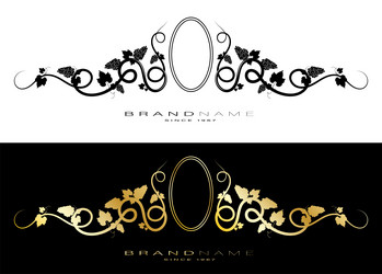 Grapevine scroll for design of header with brand vector