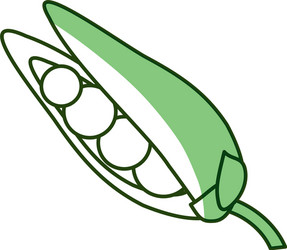 peas fresh vegetable vector