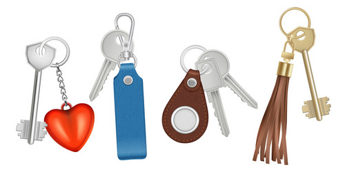 Realistic Keys on Keychains vector image