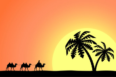 Man on the camel in palm trees at sunset vector