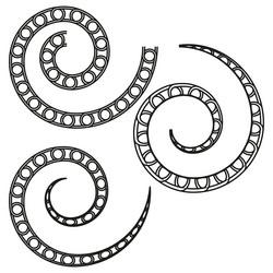 spiral curl form circle ring shape twisted swirl vector image