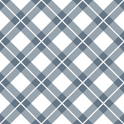 check print and lines seamless pattern vector image