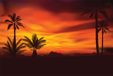 Beach sunset Royalty Free Vector Image - VectorStock