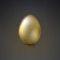 Golden egg on dark background vector