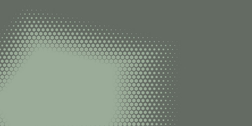 Geometric abstract hexagon two color background vector