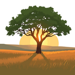 a tree in field with the sun setting behind vector image