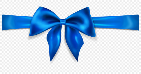 Beautiful bow with horizontal ribbon vector