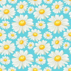 chamomile field seamless pattern vector