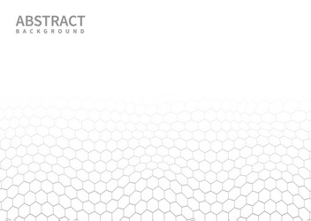 abstract white and gray subtle lattice hexagon vector image