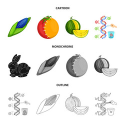 isolated object test and synthetic symbol vector image