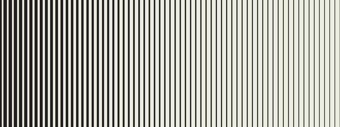 structured stripe elements in line pattern vector image