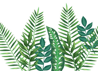 branch with leafs plants pattern background vector