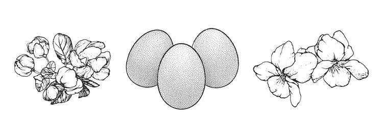 graphical spring set isolated on white background vector image