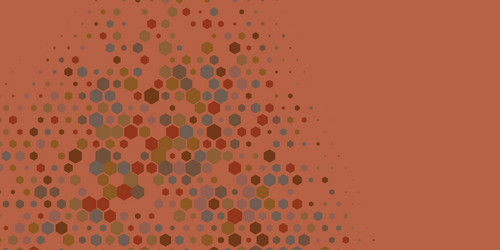 geometric multi size hexagon with color vector