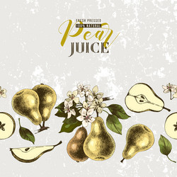 retro-styled background with seamless pear border vector image