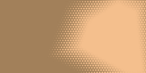geometric abstract hexagon two color background vector image